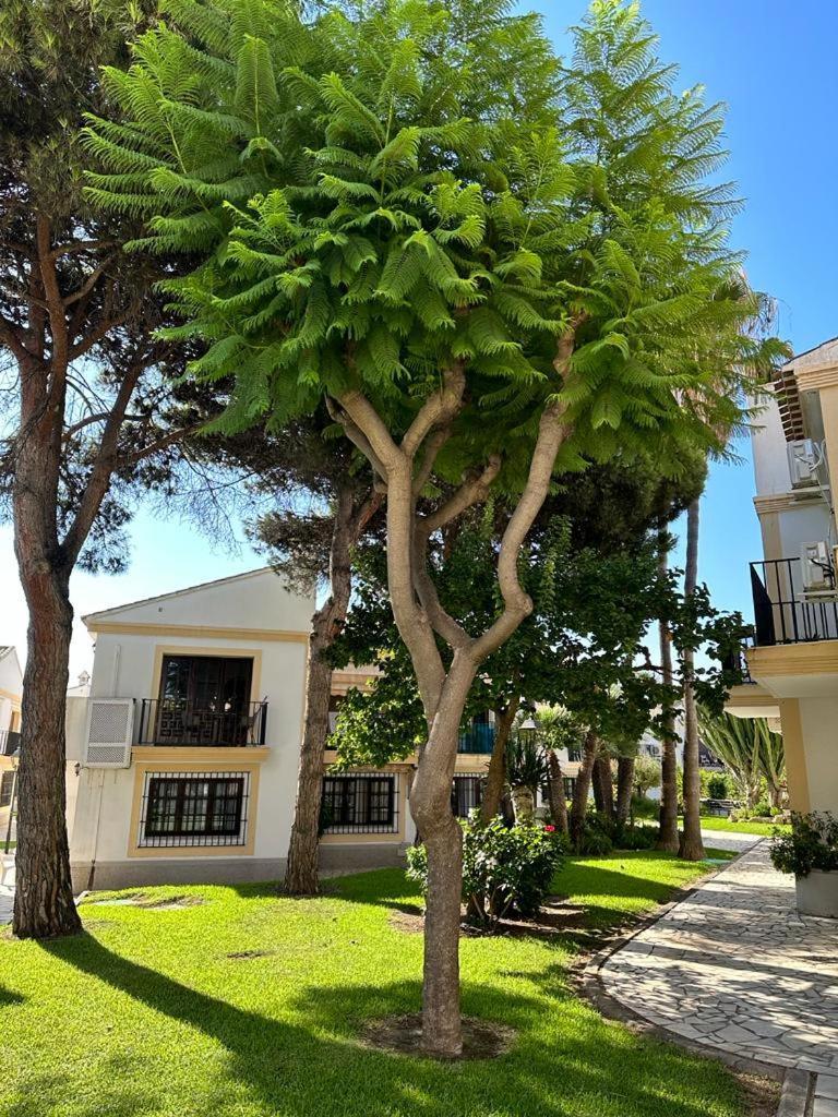 Casa De Familia Coast Apartment Vera