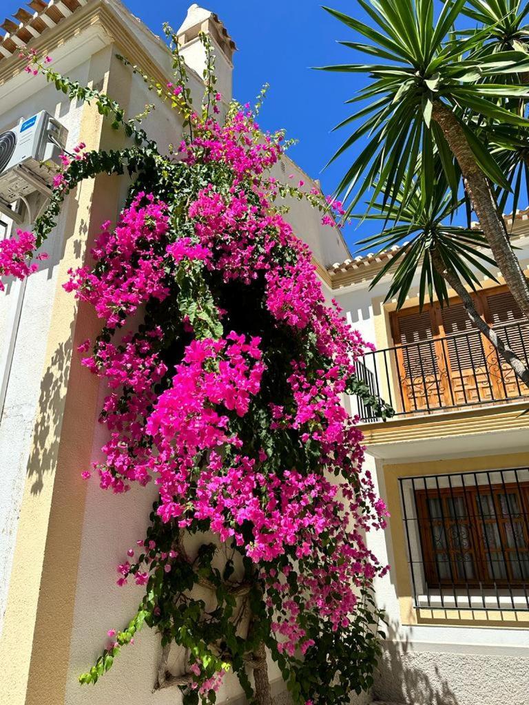 Casa De Familia Coast Apartment